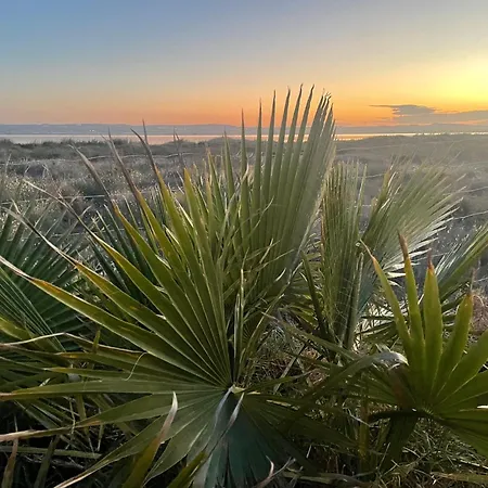 Daire Casa Flamenco, Begane Grond Met Tuin & Zwembad Torrevieja