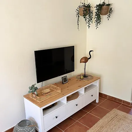 Casa Flamenco, Begane Grond Met Tuin & Zwembad Torrevieja