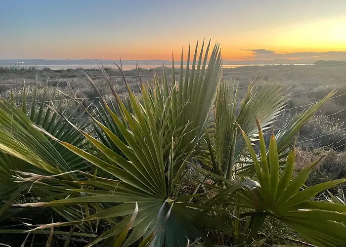 Appartement Casa Flamenco, Begane Grond Met Tuin&zwembad Torrevieja