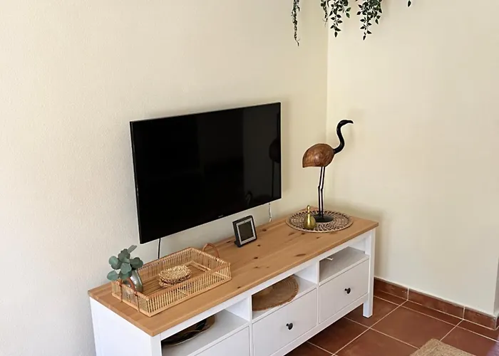 Casa Flamenco, Begane Grond Met Tuin&zwembad Torrevieja